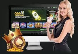 622bet